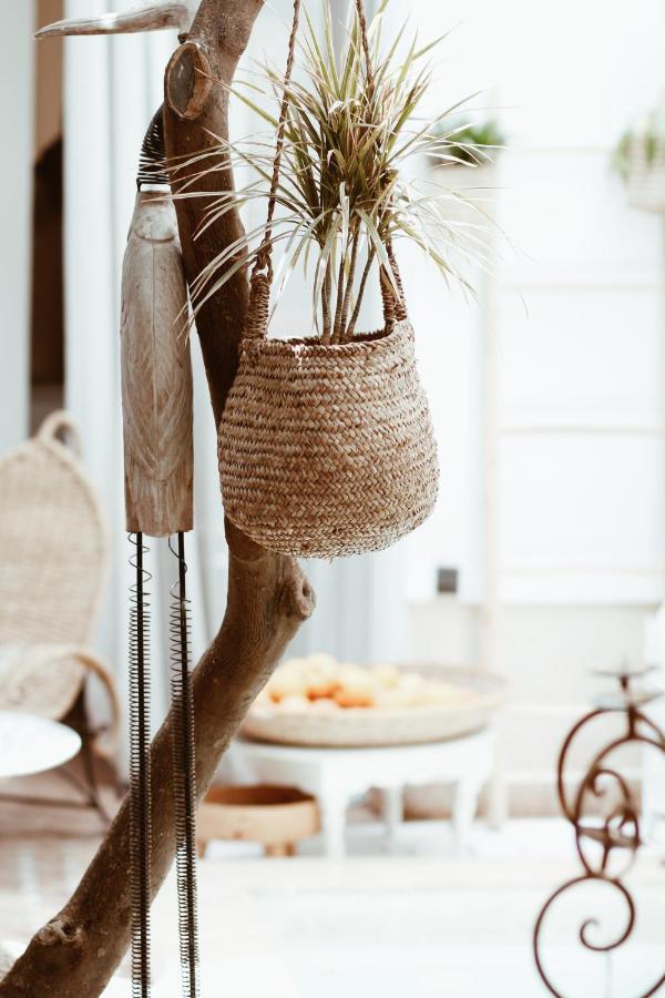 Riad Les Orangers D'Alilia Marrakesh Luaran gambar