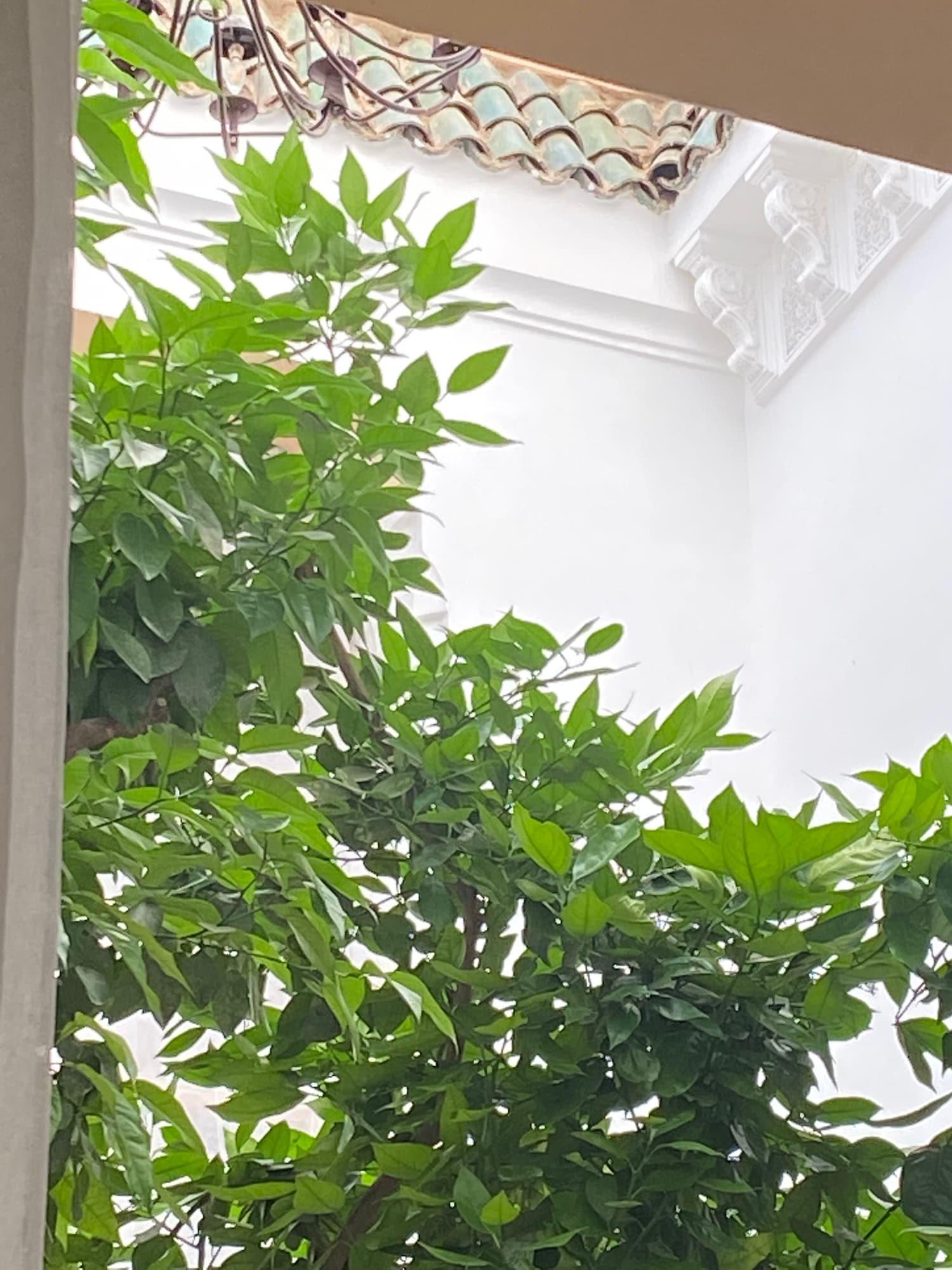 Riad Les Orangers D'Alilia Marrakesh Luaran gambar