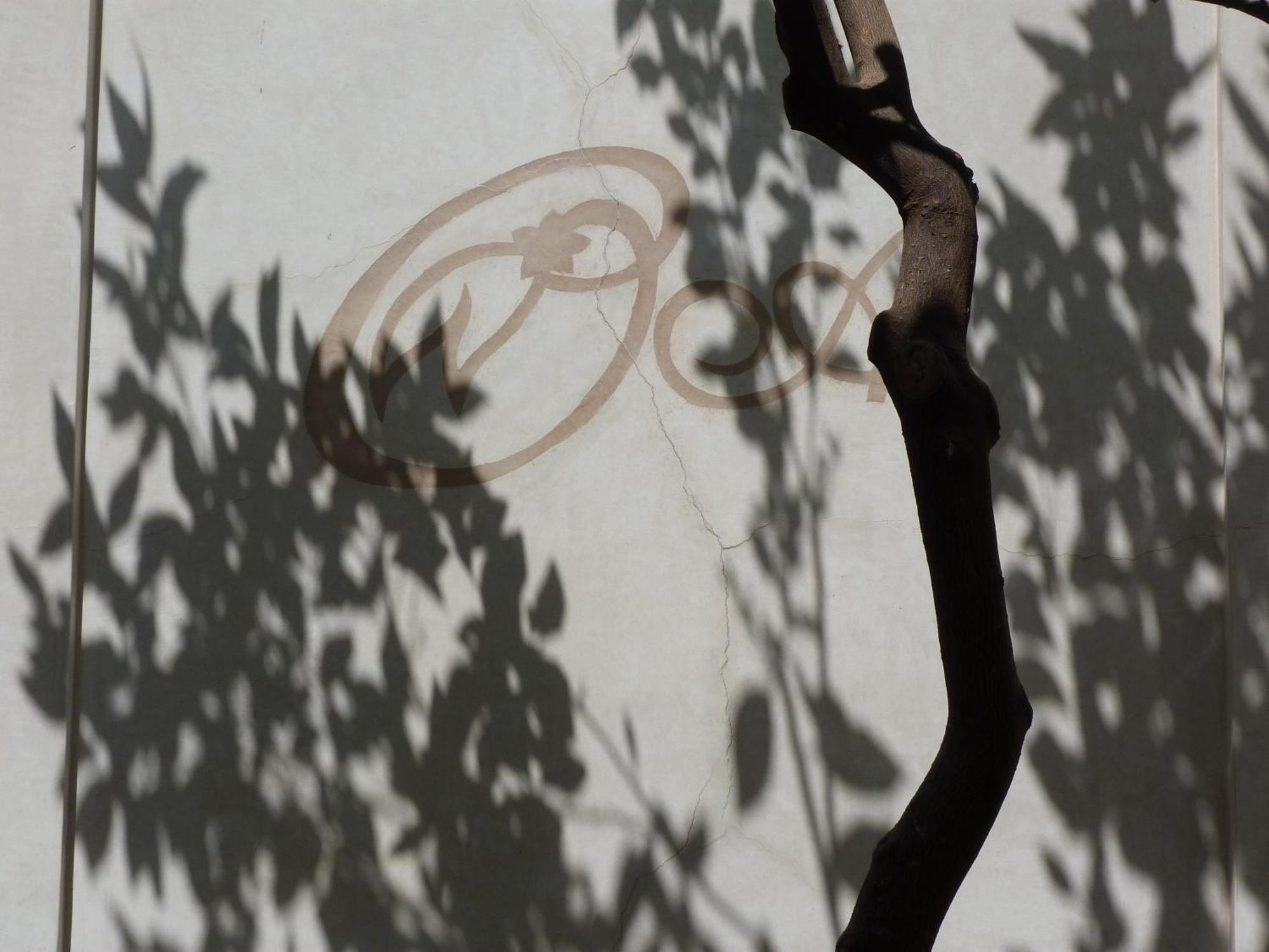 Riad Les Orangers D'Alilia Marrakesh Luaran gambar