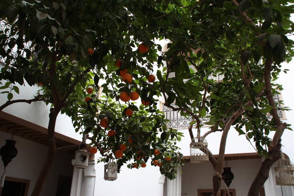 Riad Les Orangers D'Alilia Marrakesh Luaran gambar